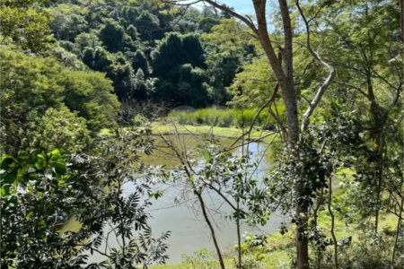 Sítio à venda com 4 quartos, sendo 2 suítes,  em Sorocamirim (canguera), São Roque, SP