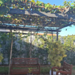 Casa à venda com 3 suítes no condomínio Fazenda Jequitibá, Sorocaba - SP