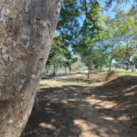 Casa à venda com 3 quartos, sendo 1 suíte, no condomínio Terras de São Francisco, Sorocaba - SP