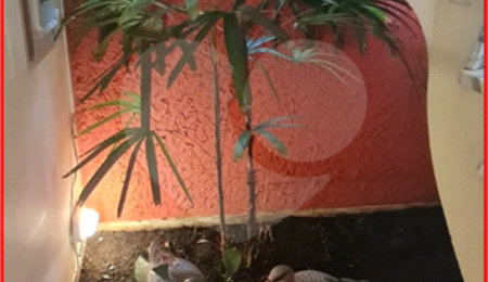Sobrado à venda com 4 quartos, sendo 1 suíte,  em Indianópolis, São Paulo, SP