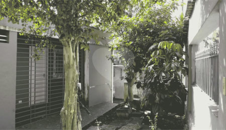 Casa à venda com 5 quartos, sendo 2 suítes, em Planalto Paulista, São Paulo, SP