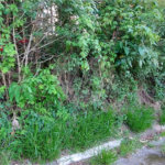 Terreno à venda no condomínio Sausalito, Mairiporã - SP