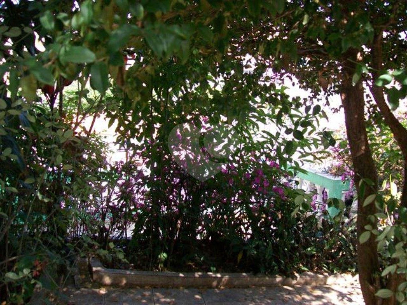 Casa Térrea à venda com 3 quartos em Limão, São Paulo, SP
