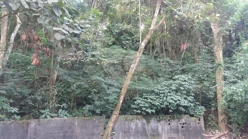 Terreno à venda em Tucuruvi, São Paulo, SP