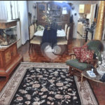 Sobrado à venda com 4 quartos, sendo 1 suíte, em Vila Mariana, São Paulo, SP