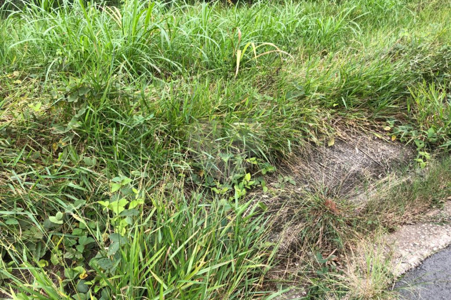 Terreno à venda em Serra da Cantareira, Mairiporã, SP