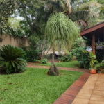 Chácara Espaçosa no Santa Rita com Área Gourmet, Sauna e Árvores Frutíferas
