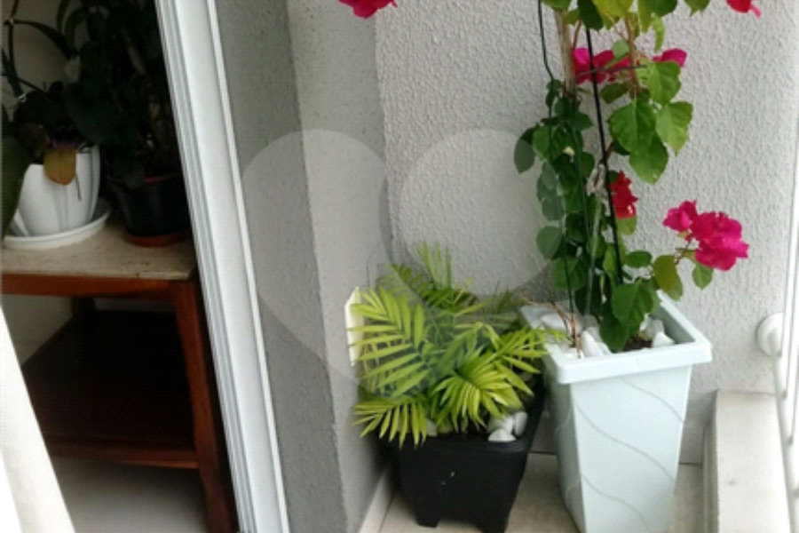 Apartamento à venda com 2 quartos, sendo 1 suíte, em Casa Verde, São Paulo, SP