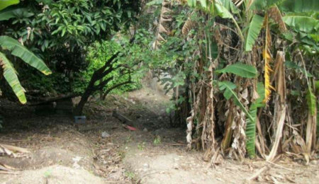 Terreno à venda em Jardim Jussara, São Paulo, SP