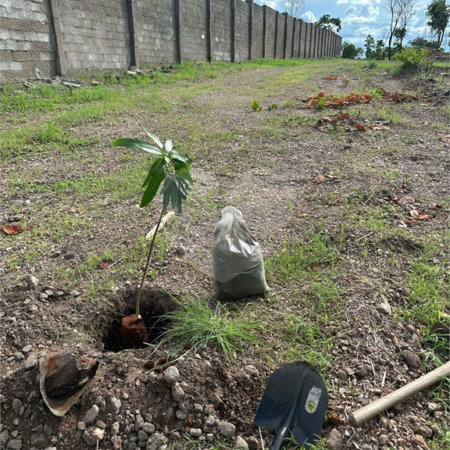 Terreno à venda em Nossa Senhora da Guia, Cuiabá, MT