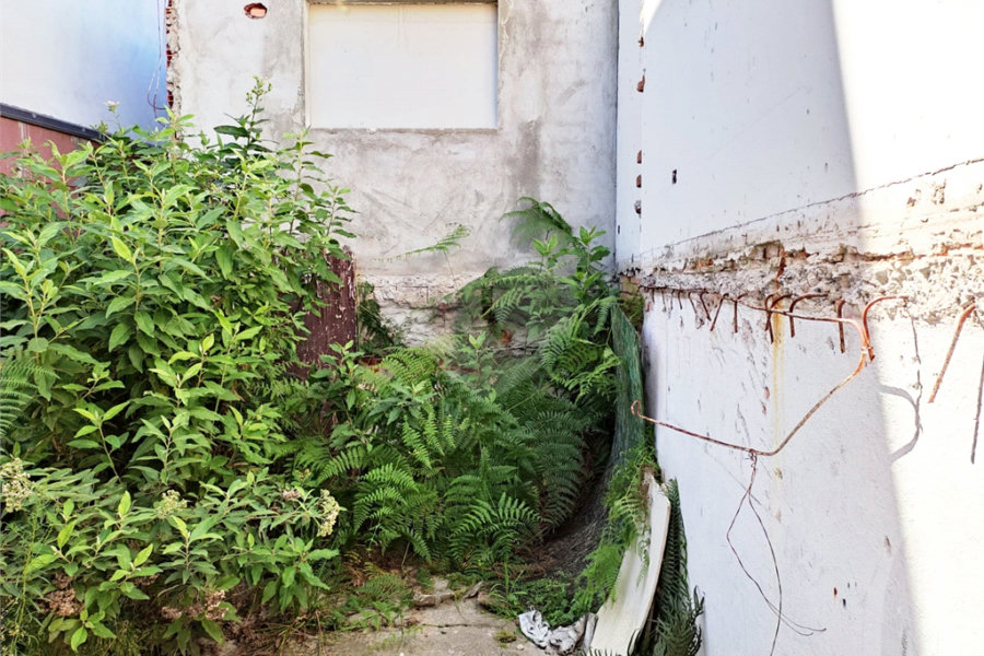 Terreno à venda em Vila Guilherme, São Paulo, SP