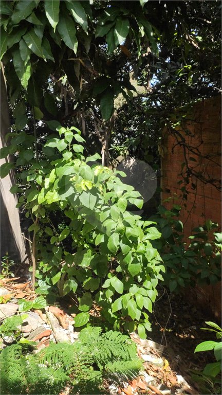 Terreno à venda com 3 quartos em Casa Verde, São Paulo, SP