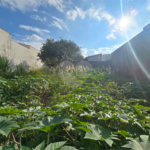 Terreno à venda em Vila Nastri, Itapetininga, SP