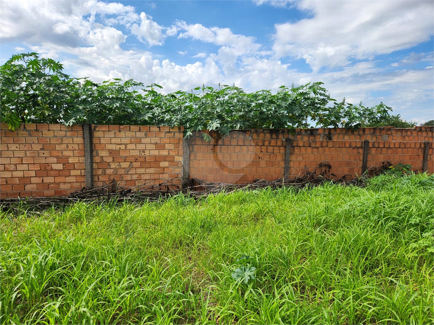 Terreno à venda em Parque Alvorada, Araraquara, SP