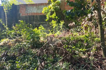 Terreno à venda em Vila Rosa, Itapetininga, SP