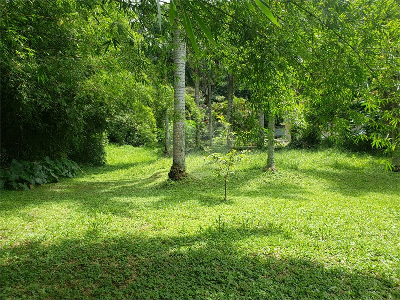 Terreno à venda em Horto, São Paulo, SP