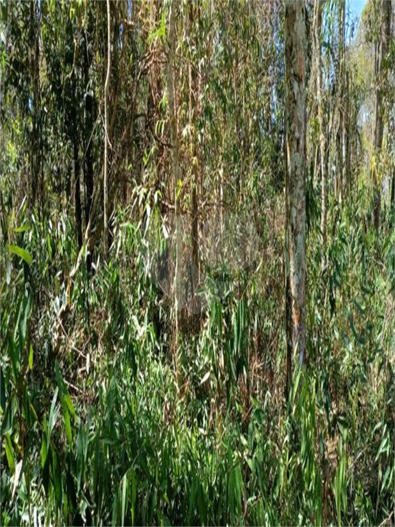 Terreno à venda em Remédios, Mairiporã, SP