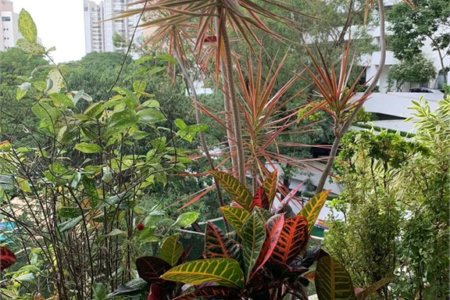 Apartamento à venda com 4 quartos, sendo 2 suítes, em Real Parque, São Paulo, SP