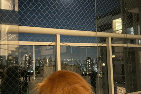 Apartamento à venda com 4 quartos, sendo 3 suítes, em Vila Andrade, São Paulo, SP