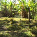 Chácara à venda com 1 quarto em Cruz das Almas, Biritiba-mirim, SP