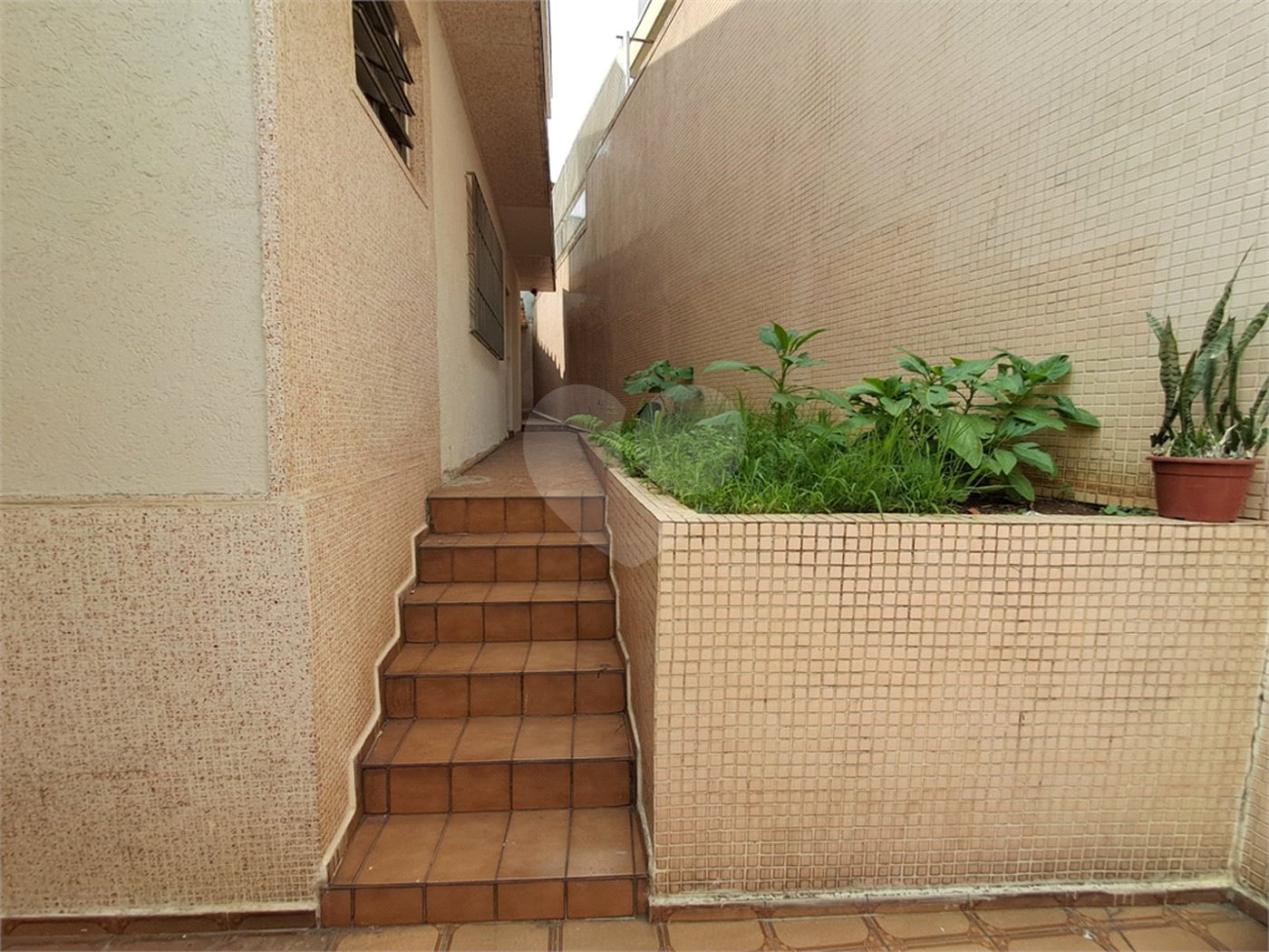 Casa Térrea à venda com 3 quartos, sendo 1 suíte, em Vila Guilherme, São Paulo, SP
