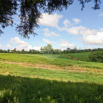 Terreno à venda em Iara, Atibaia, SP