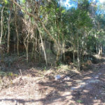 Condomínio à venda em Caraguatá, Mairiporã, SP