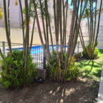 Apartamento à venda com 3 quartos, sendo 1 suíte, em Jardim Lincoln, Suzano, SP