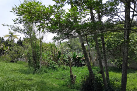 Chácara à venda com 2 quartos em Vila Caputera, Mogi das Cruzes, SP