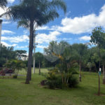 Apartamento à venda com 2 quartos em Bairro da Vossoroca, Sorocaba, SP