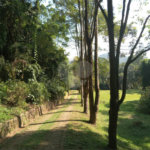 Sítio à venda em Chácara São João, Campo Limpo Paulista, SP