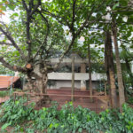 Apartamento à venda com 3 suítes em Campo Belo, São Paulo, SP