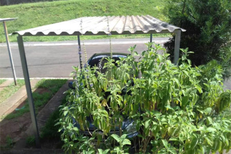 Apartamento no Residencial De Vitro