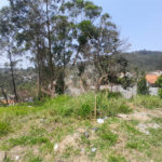 Terreno à venda no condomínio Estancia da Serra / Residencial Nova Mairipora, Mairiporã - SP