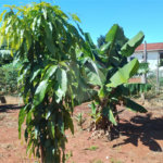 Chácara à venda em Campo Grande, Pilar do Sul, SP