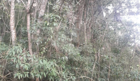 Terreno à venda em Suasalito, Mairiporã, SP
