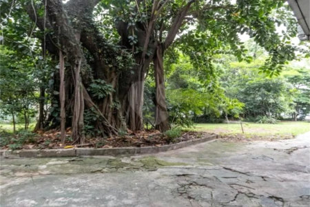 Apartamento à venda com 3 quartos, sendo 1 suíte, em Perdizes, São Paulo, SP