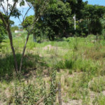 Terreno à venda em Jardim Arquidiocesano, Salto, SP
