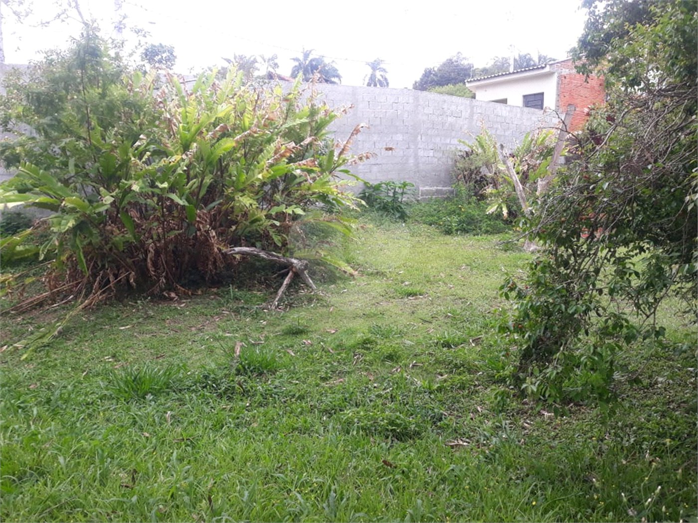 Terreno para alugar em Jardim Rene, São Roque, SP
