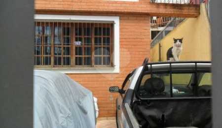 Sobrado à venda com 3 quartos, sendo 1 suíte,  em Vila Romero, São Paulo, SP