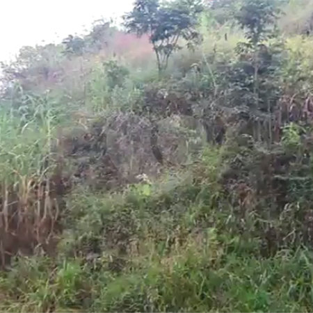 Terreno à venda em Jardim Estância Brasil, Atibaia, SP