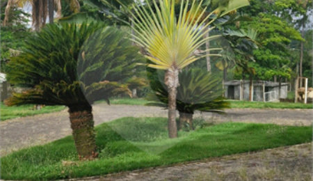 Chácara à venda com 4 quartos, sendo 3 suítes,  em Chácaras de Recreio Ingá, Indaiatuba, SP