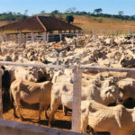 Fazenda à venda com 6 quartos, sendo 1 suíte,  no Centro, Capitão Enéas, MG