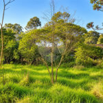 Terreno à venda em Interlagos, São Paulo, SP