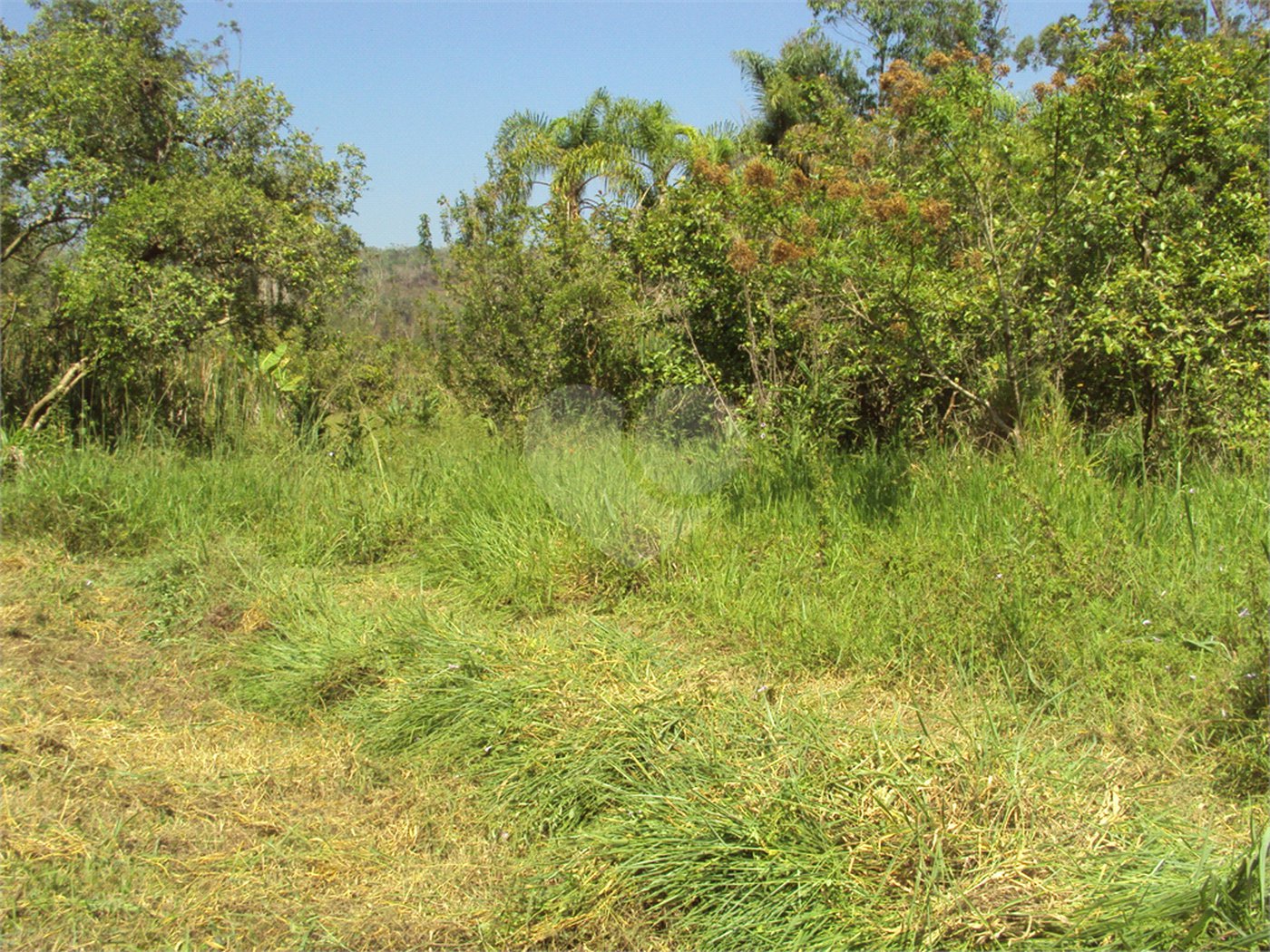 Chácara à venda com 1 quarto em Cruz das Almas, Biritiba-mirim, SP