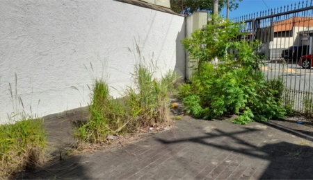 Casa Térrea à venda com 4 quartos, sendo 1 suíte,  em Vila Guilherme, São Paulo, SP