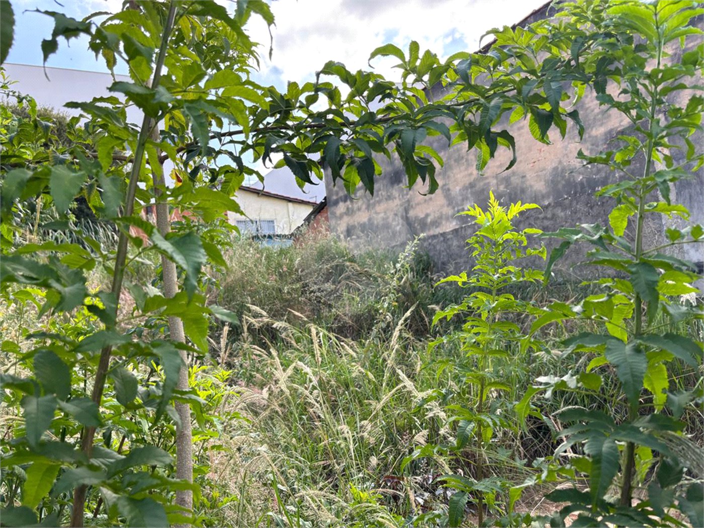 Terreno à venda em Jardim Bandeirantes, Salto, SP