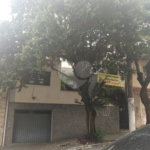 Casa Térrea à venda ou para alugar com 3 quartos, sendo 1 suíte, em Casa Verde, São Paulo, SP