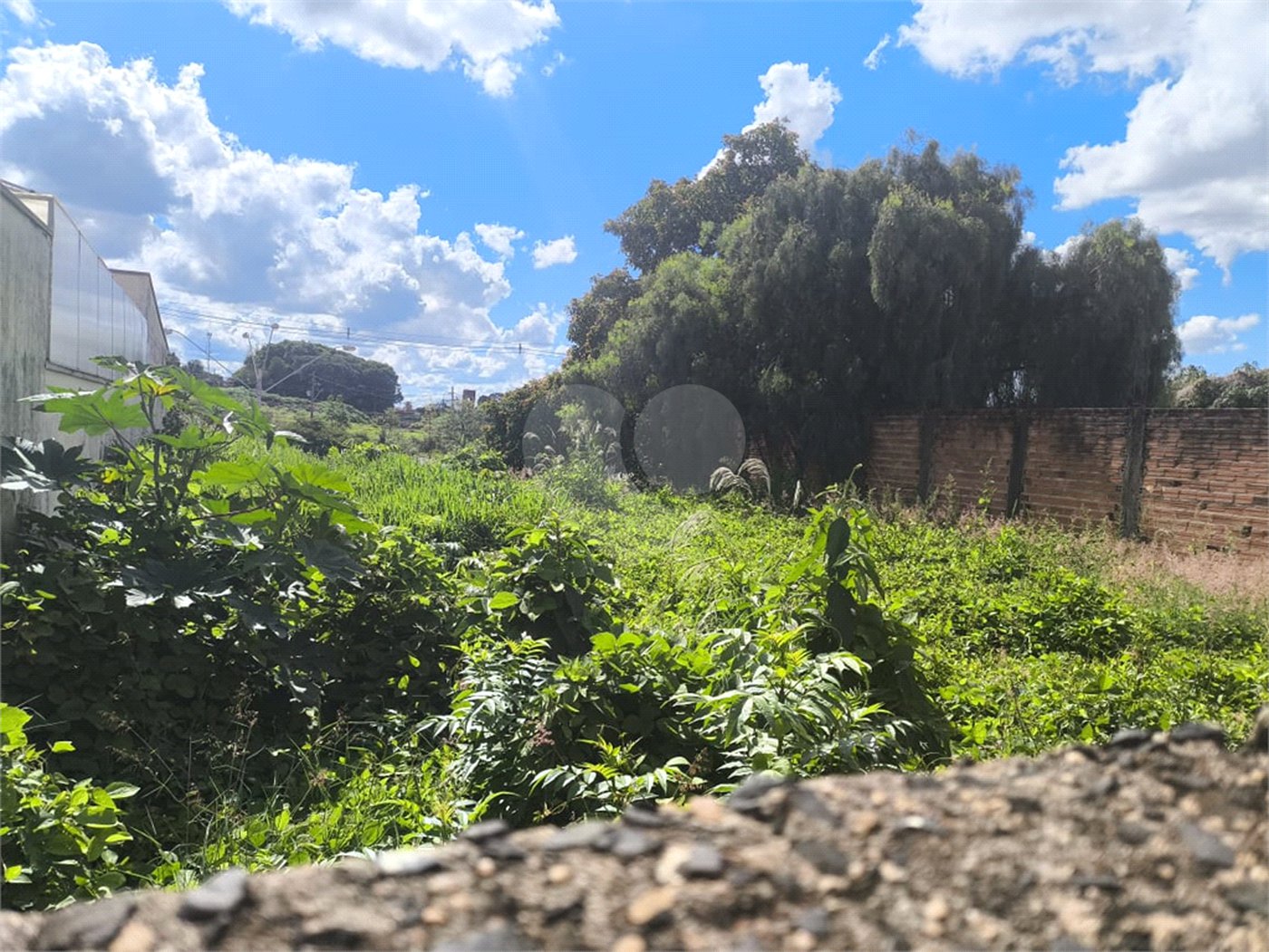 Terreno no Jardim Ricetti São Carlos - SP