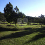Terreno à venda em Vila Darcy Penteado (mailasqui), São Roque, SP